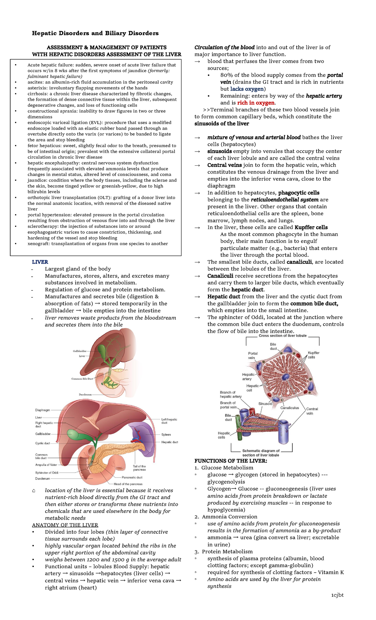 Hepatic and Biliary - ASSESSMENT & MANAGEMENT OF PATIENTS WITH HEPATIC ...