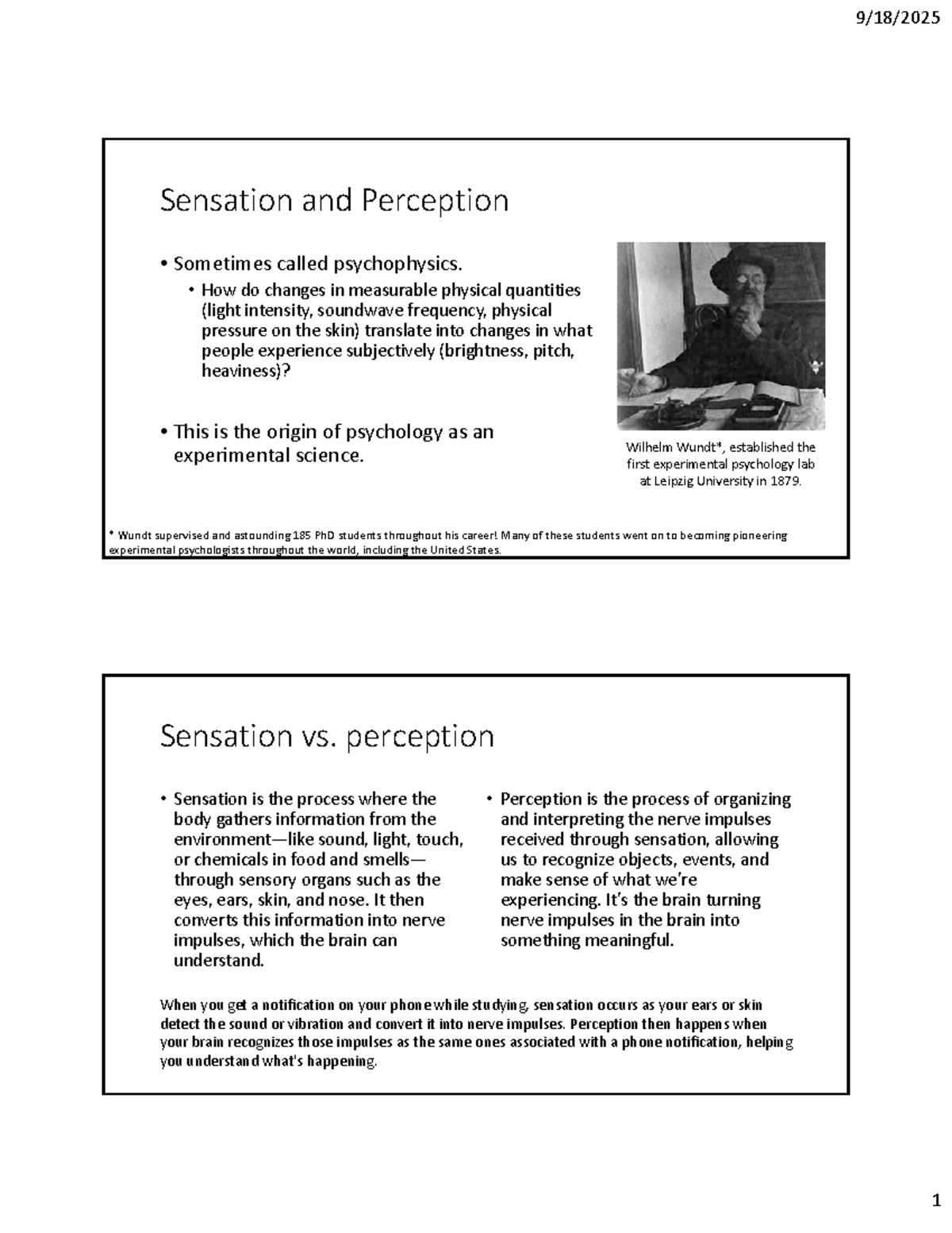Sensation and Perception: Exploring Psychophysics and Human Experience ...