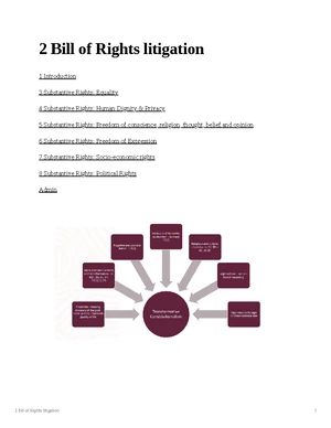 Final Exam Study Notes: SA Bill of Rights Litigation (COURSE_CODE ...