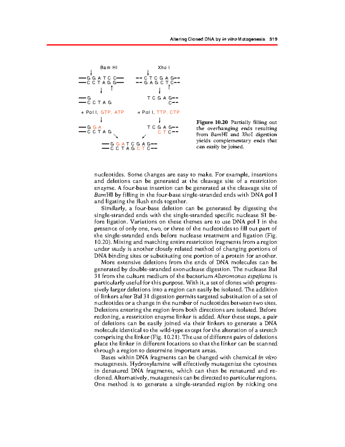 Genetics and Molecular Biology – Part 168: In Vitro Mutagenesis ...