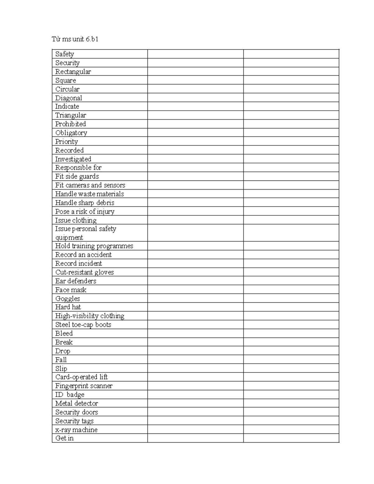 Từ MS Unit 6: Safety & Security Terminology Guide - Studocu