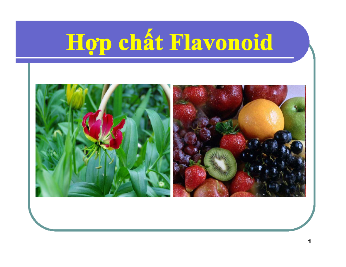 Flavonoid Structures and Functions: A Comprehensive Study (Course Code ...