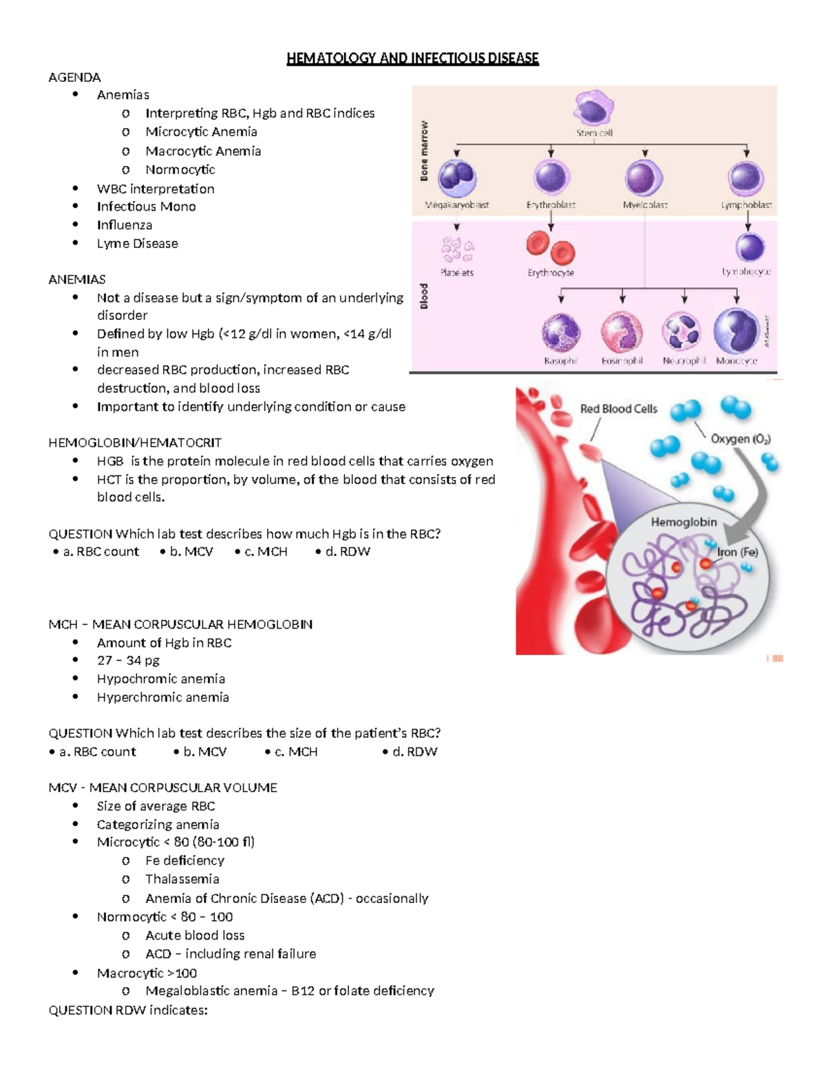 HEMATOLOGY 101: Anemia Types & Infectious Disease Overview - Studocu