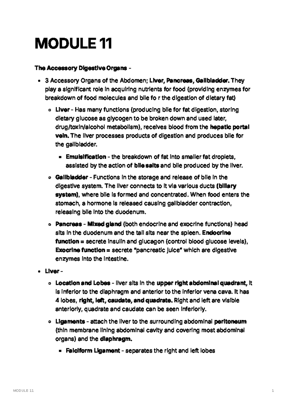 Module 11: Accessory Digestive Organs and Urinary System Overview - Studocu