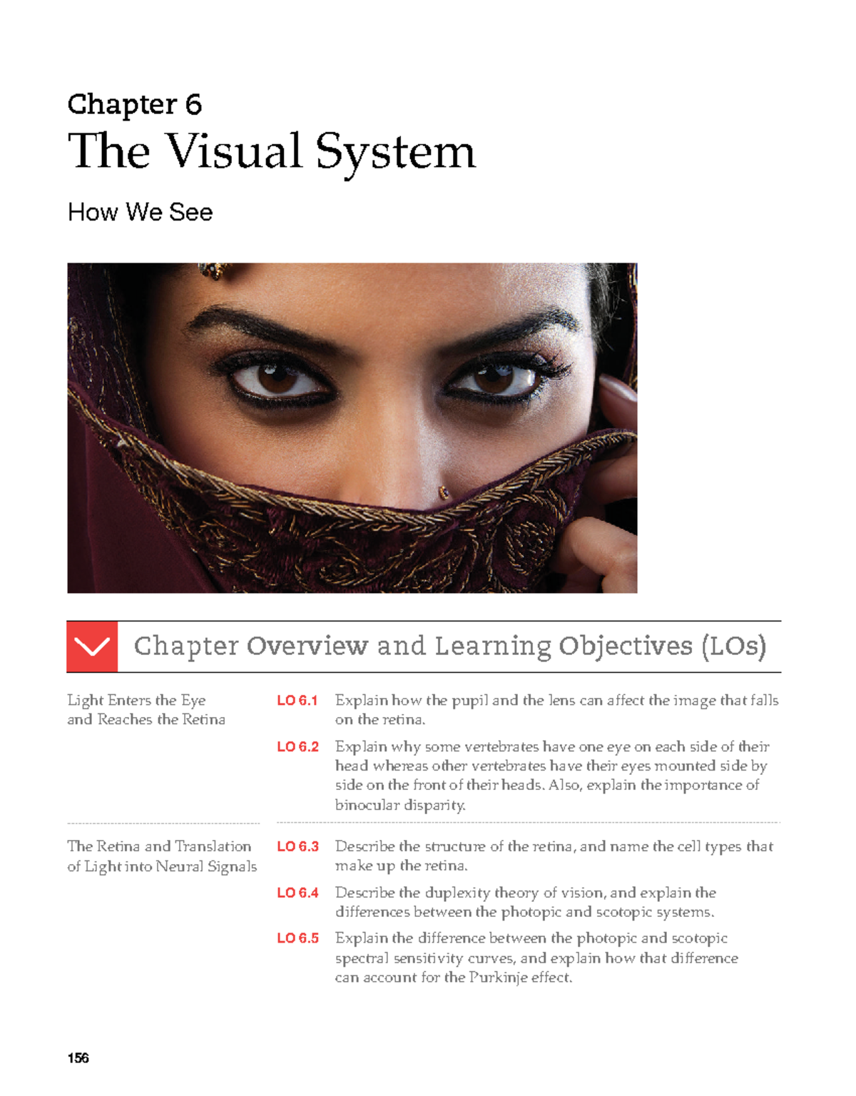 Structure of the eye - 156 Chapter 6 The Visual System How We See ...