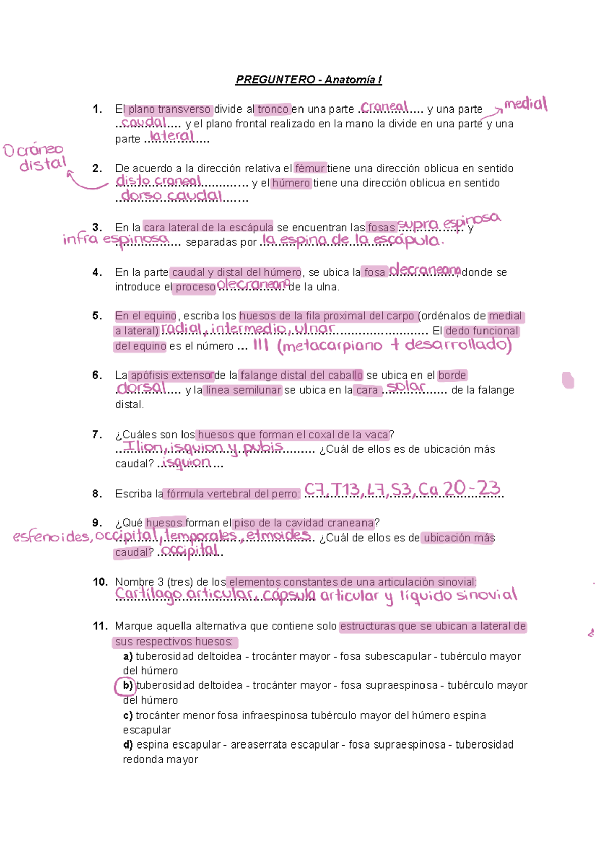 Preguntas y Respuestas de Anatomía I (Anato 1) - Preguntero Completo - Document Preview