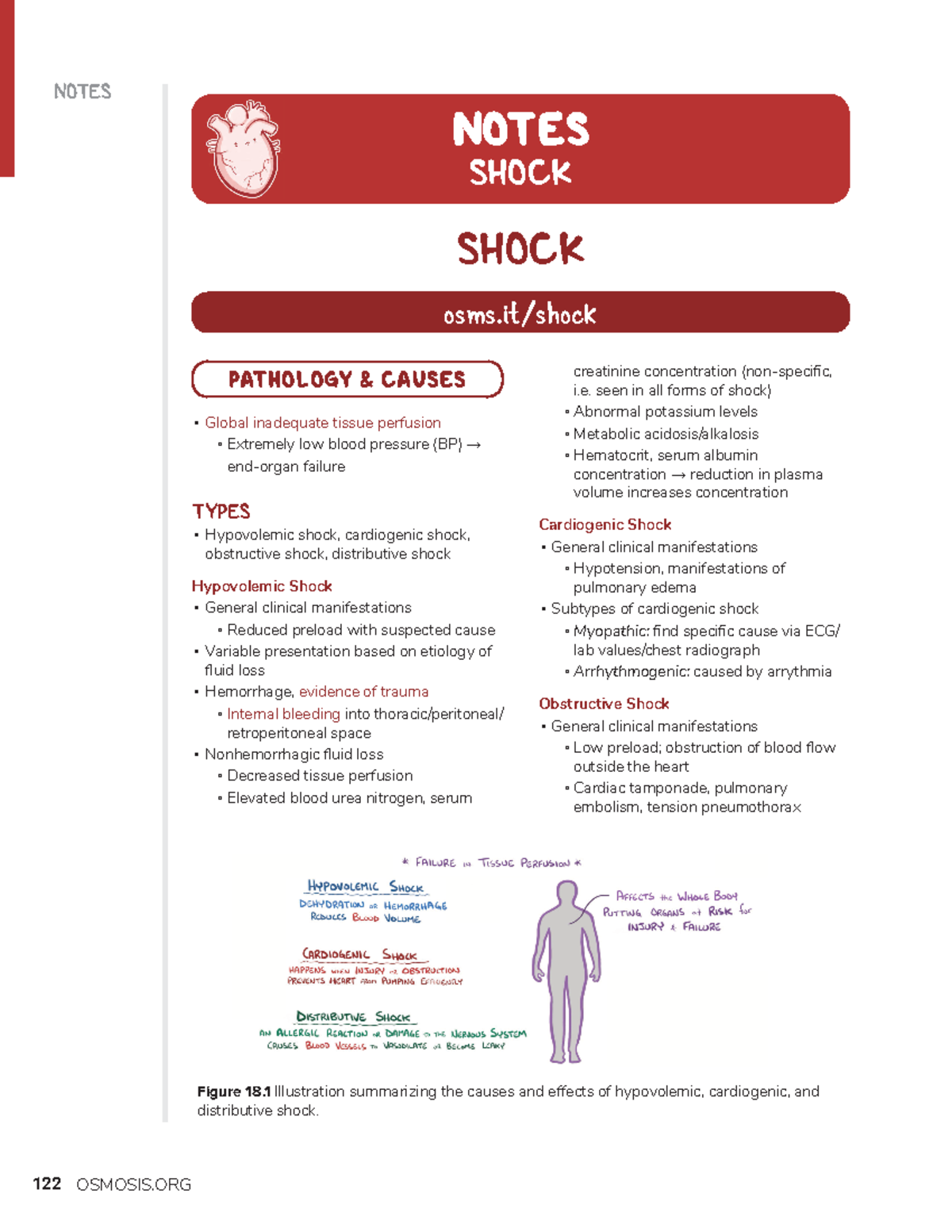 Shock - NOTES Global inadequate tissue perfusion Extremely low blood ...