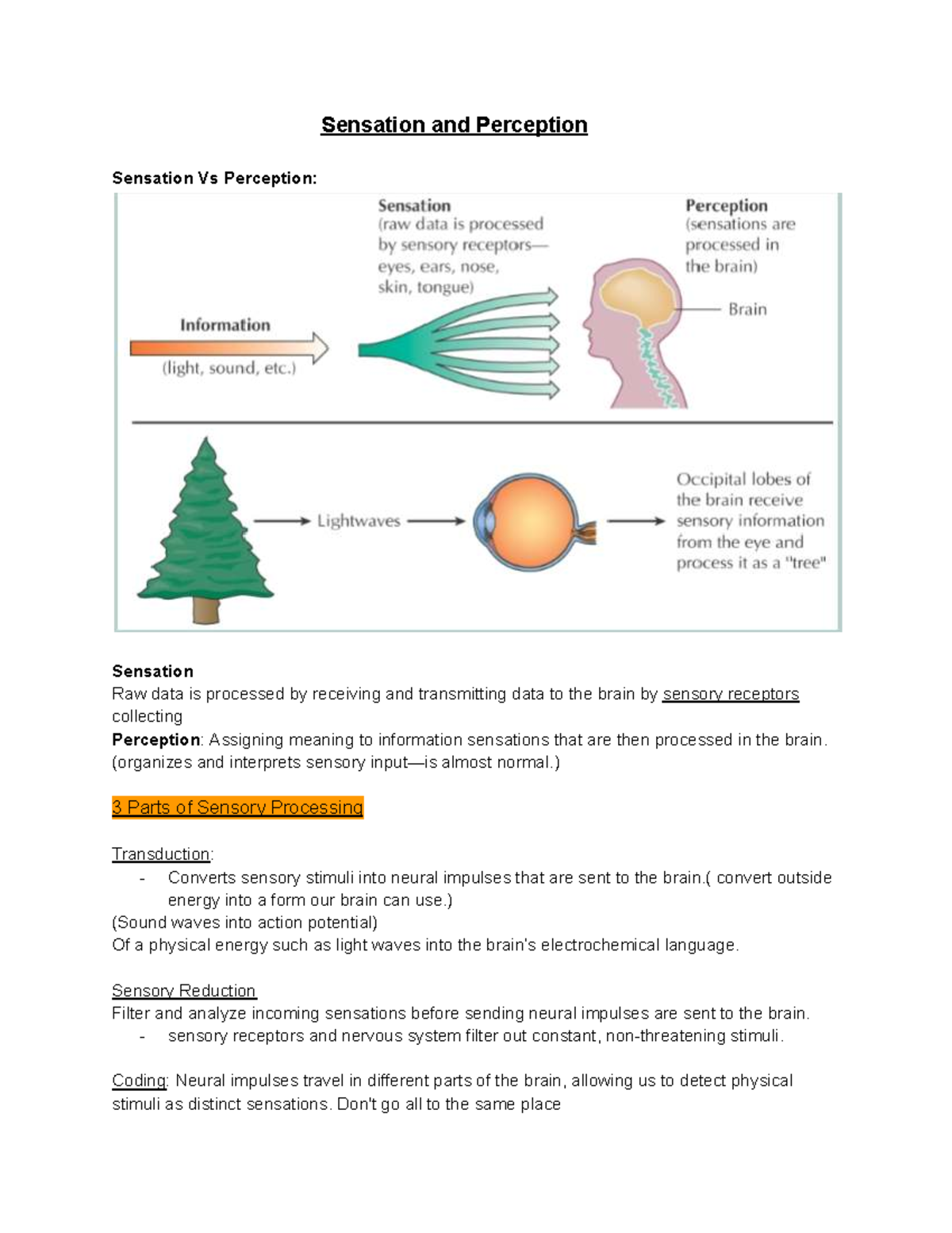 Psyc 3 Lecture Notes: Sensation vs. Perception Explained - Studocu