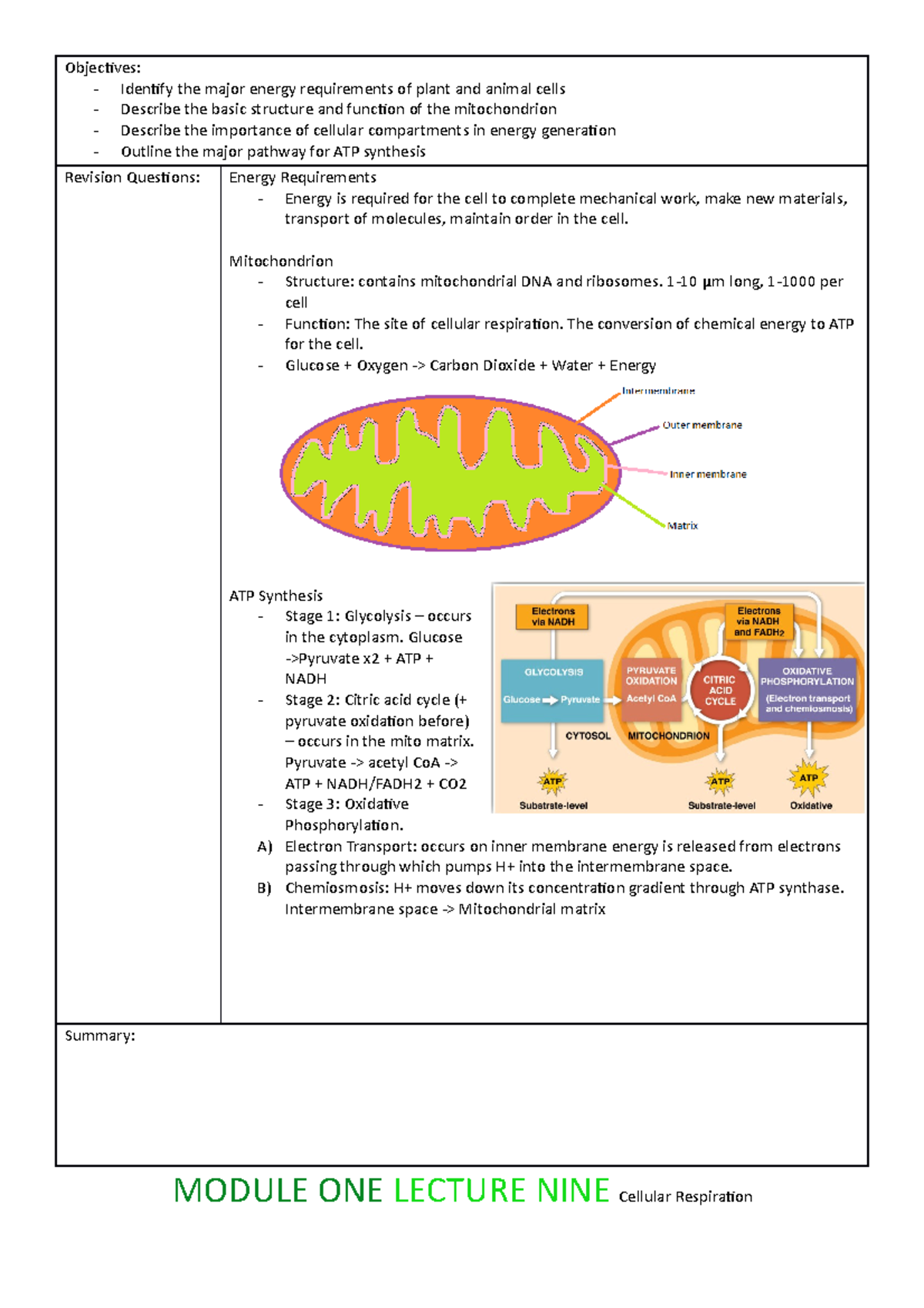 Module 1 Lecture 9 - Cellular respiration - Objectives: - Identify the ...