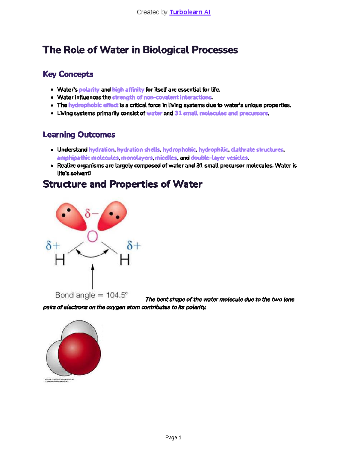 BIOL 101: The Essential Role of Water in Biological Processes - Studocu