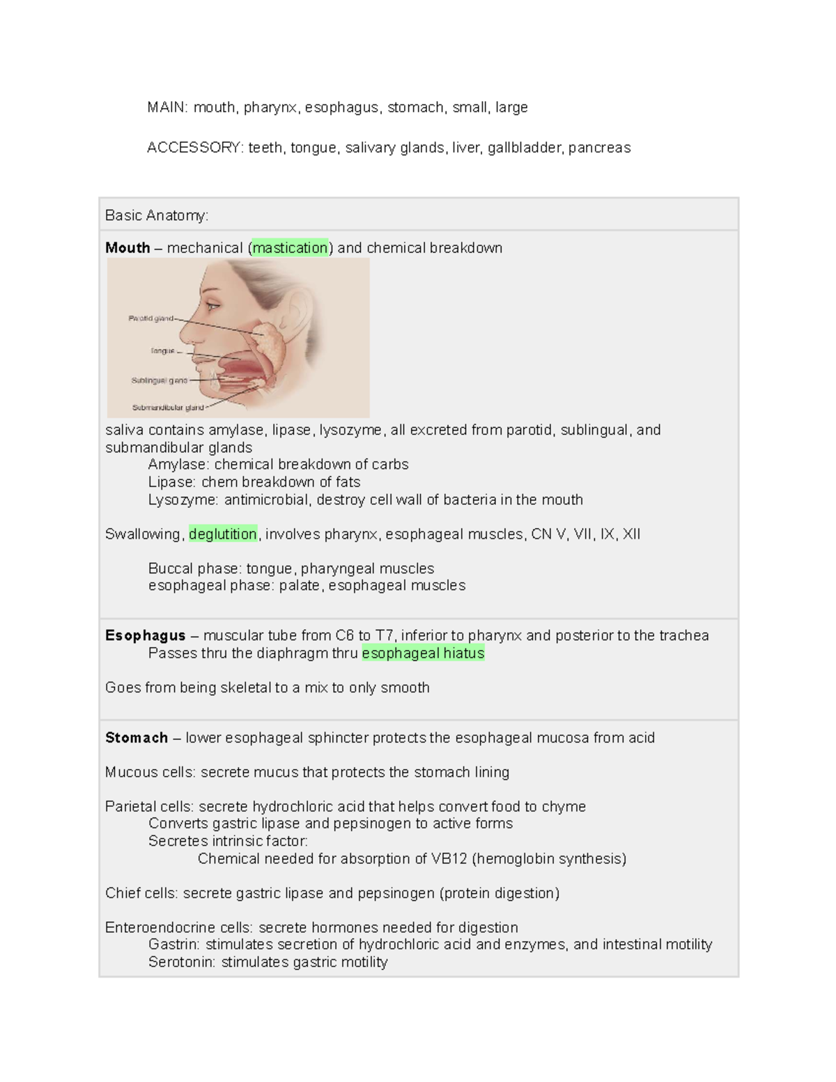 Ch. 55 Fadavis textbook notes on digestive system anatomy and ...