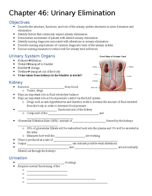 Male and Female GU - Power Point Notes - WEEK 9 : MALE AND FEMALE ...