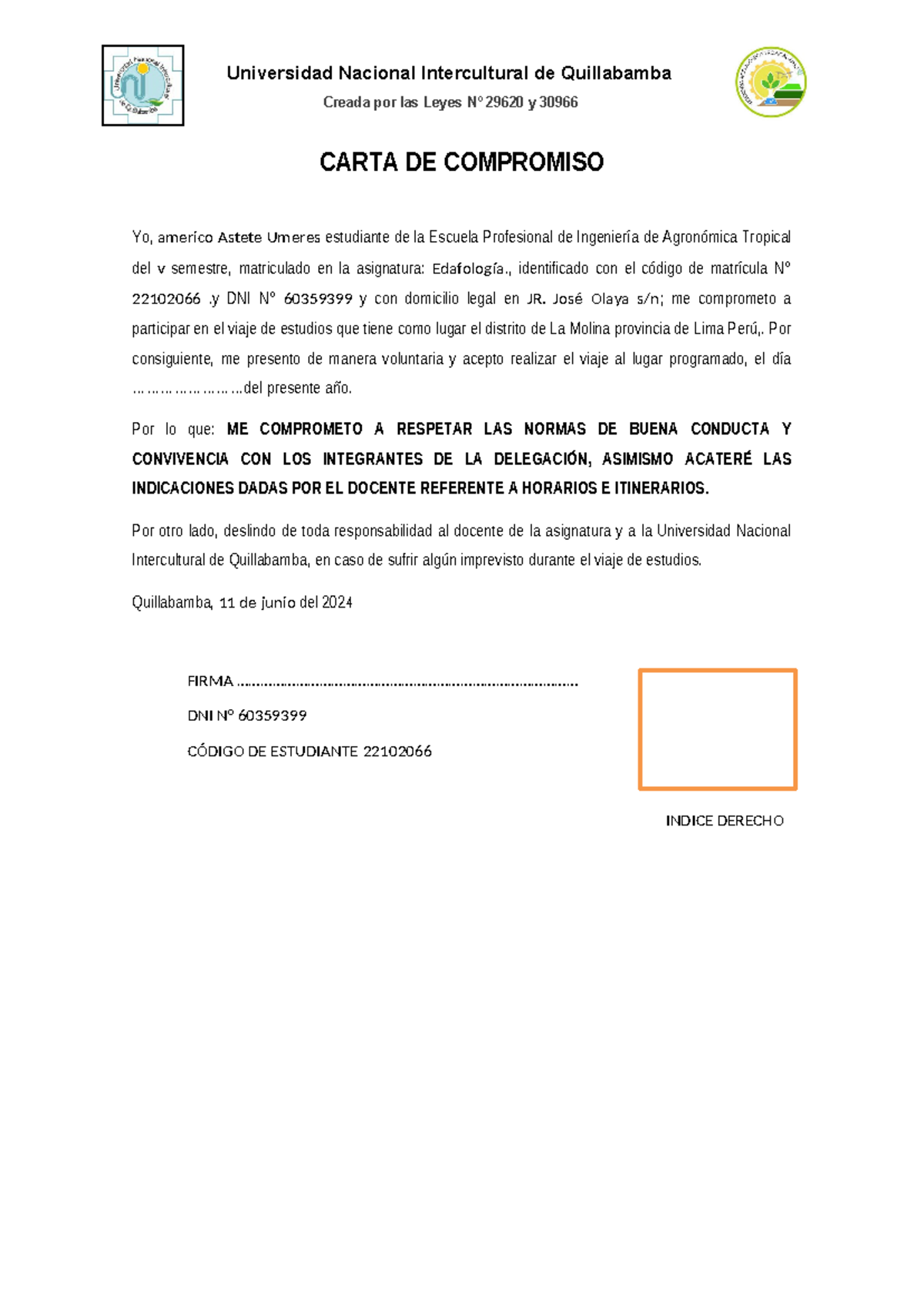 Carta DE Compromiso Modelo final - Universidad Nacional Intercultural ...