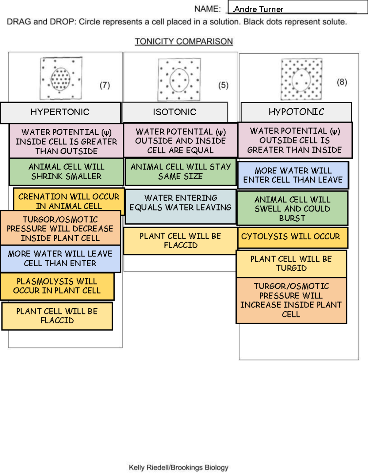 BIOL 101: Tonicity Comparison - Hypertonic, Isotonic, Hypotonic Effects ...