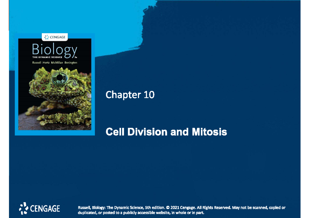 CENGAGE Biology 5th Ed. Chapter 10: Cell Division & Mitosis - Studocu