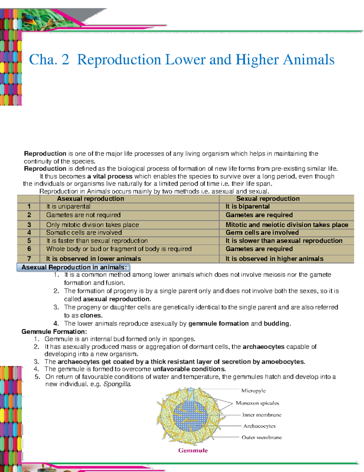 Reproduction in Lower and Higher Animals: Overview and Processes (Biol ...