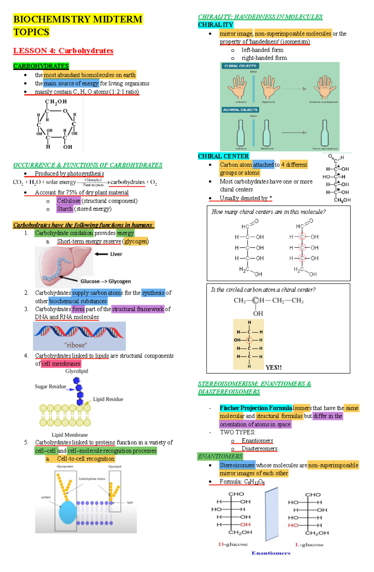 Biochemistry Midterm Topics - Carbohydrates - BIOCHEMISTRY MIDTERM ...