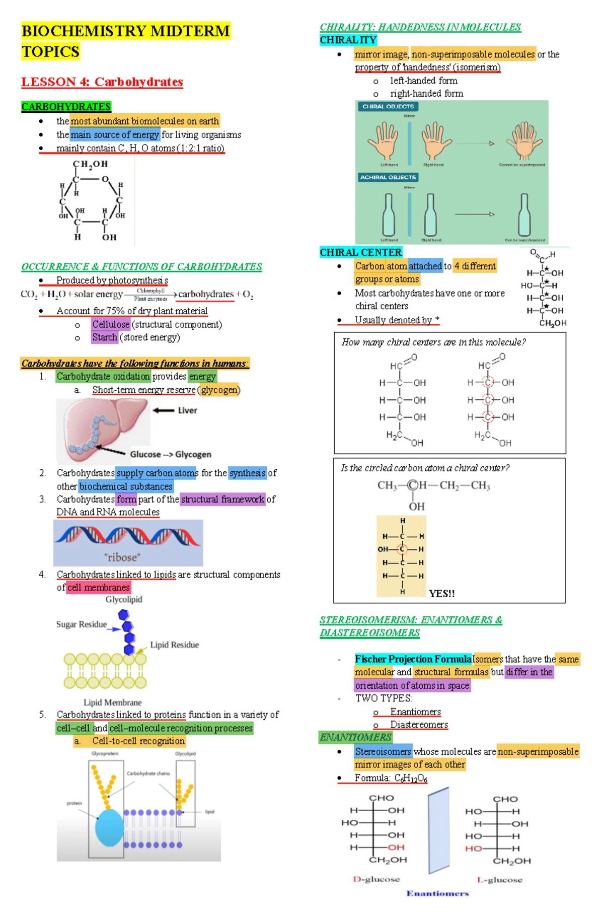 Biochemistry Midterm Exam Topics: Focus on Carbohydrates - Studocu