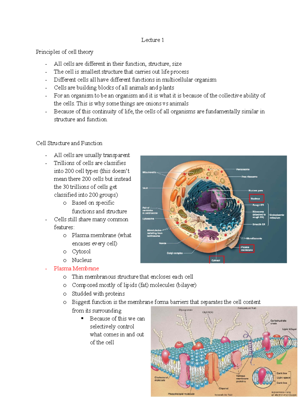 Module 1 - Cell Physiology: Principles of Cell Theory and Structure ...