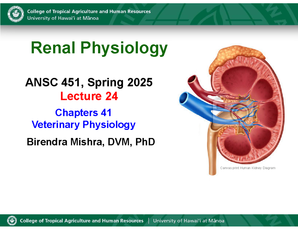 Lecture 24: Overview of Renal Physiology - ANSC 451 Spring 2025 - Studocu