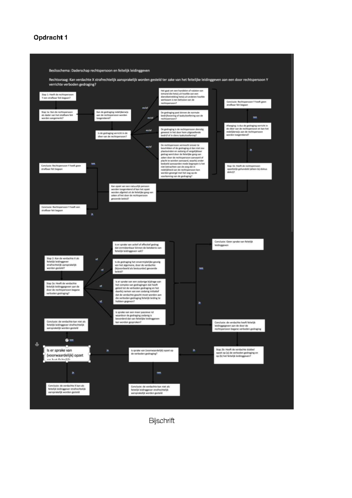 WG 6 Materieel Strafrecht: Functioneel Daderschap en Arrestanalyse ...