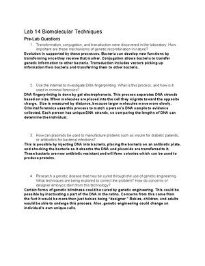 [Solved] What differences exist between your two transcripts What ...