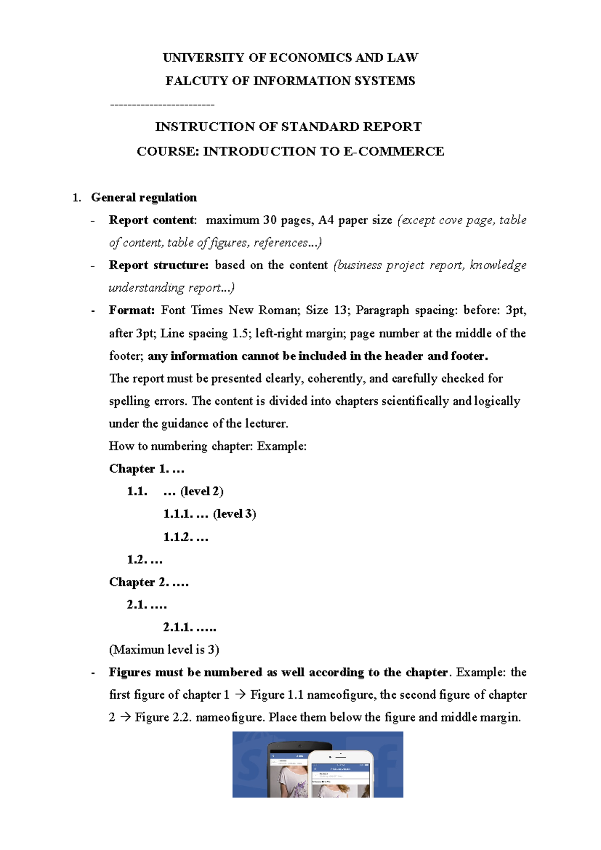 Instructionof Standard Report - UNIVERSITY OF ECONOMICS AND LAW FALCUTY ...
