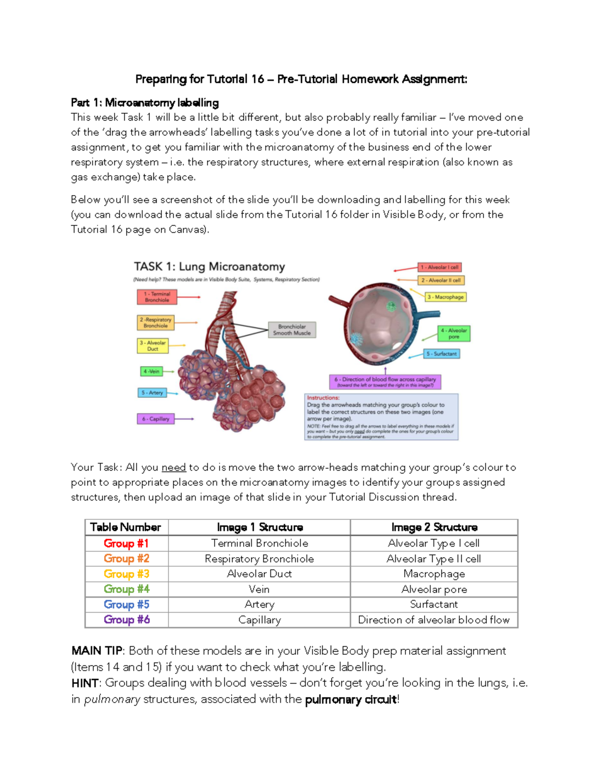 Tutorial 16 Pre-Tutorial Assignment: Microanatomy Labelling Task - Studocu
