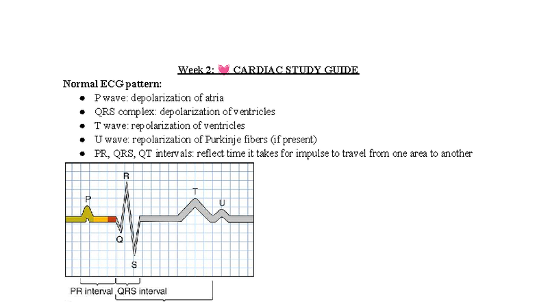 Week 2: CARDIAC STUDY GUIDE on ECG Patterns and Heart Conditions - Studocu
