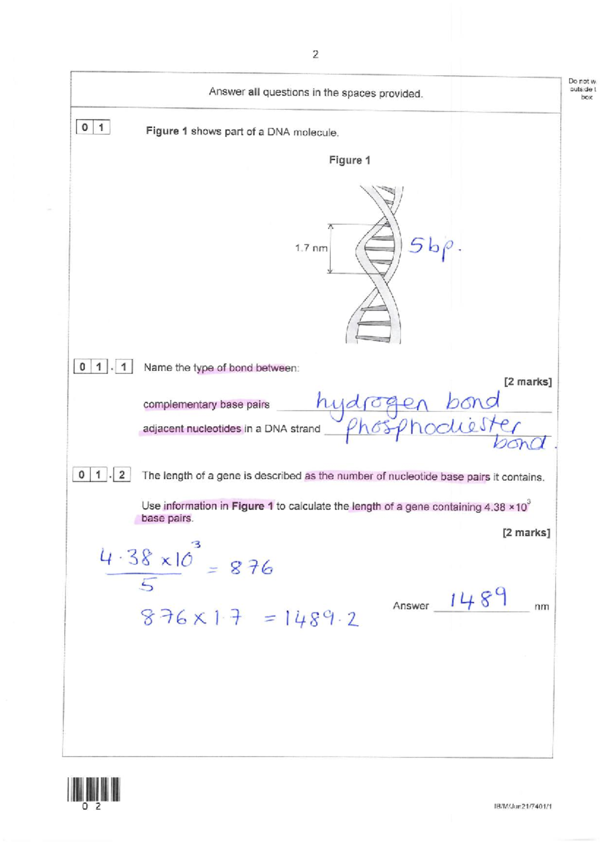 Gene Expression Model Answers for Biology 101: Exam Review - Studocu