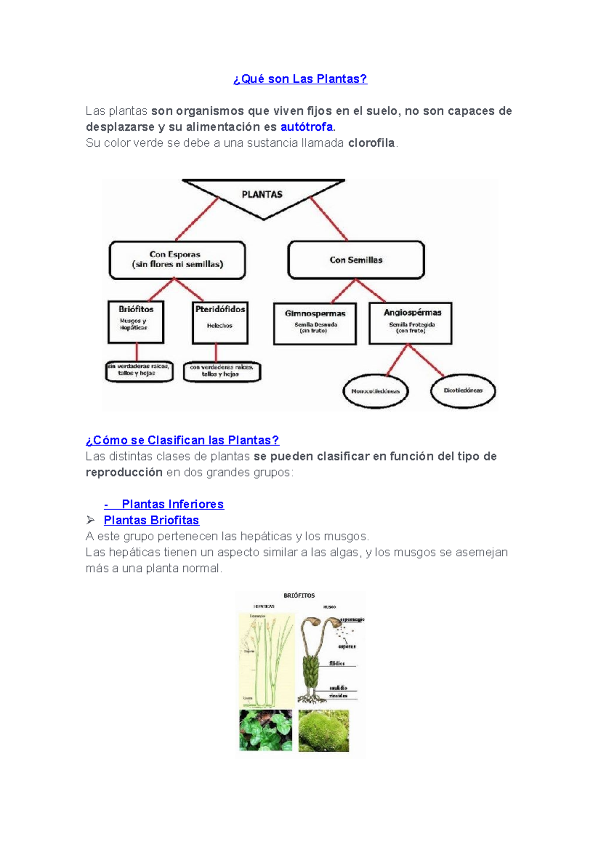 Reino Monera: Introducción a la Taxonomía y Clasificación - Studocu