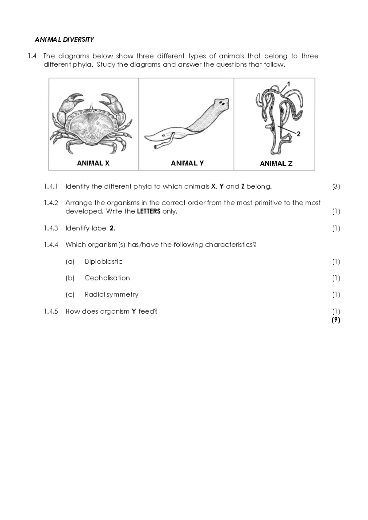 Grade 11 Term 1 Animal Diversity Study Questions & Memo - Studocu