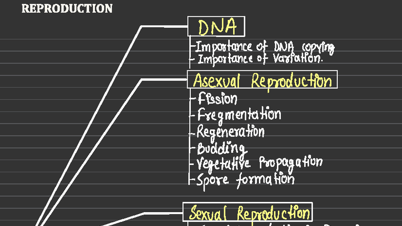 Reproduction in Organisms: A Comprehensive Study (BIO 3112) - Studocu