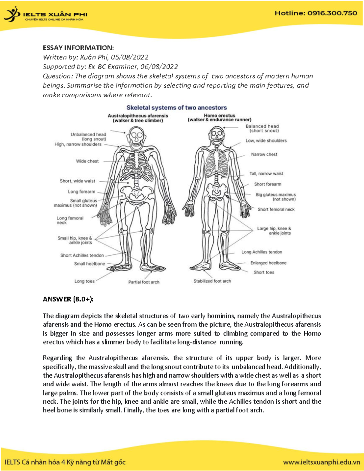 Skeletal System Comparison: Australopithecus vs. Homo Erectus - Studocu