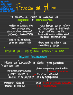 🦦Cuerpo Animal I🦦 -La anatomía (cortar, disecar), es la ciencia que ...