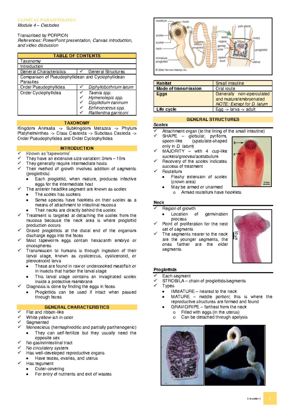 [NOTES] CESTODES - Clinical Parasitology (2nd Year BS Med Tech) - Studocu