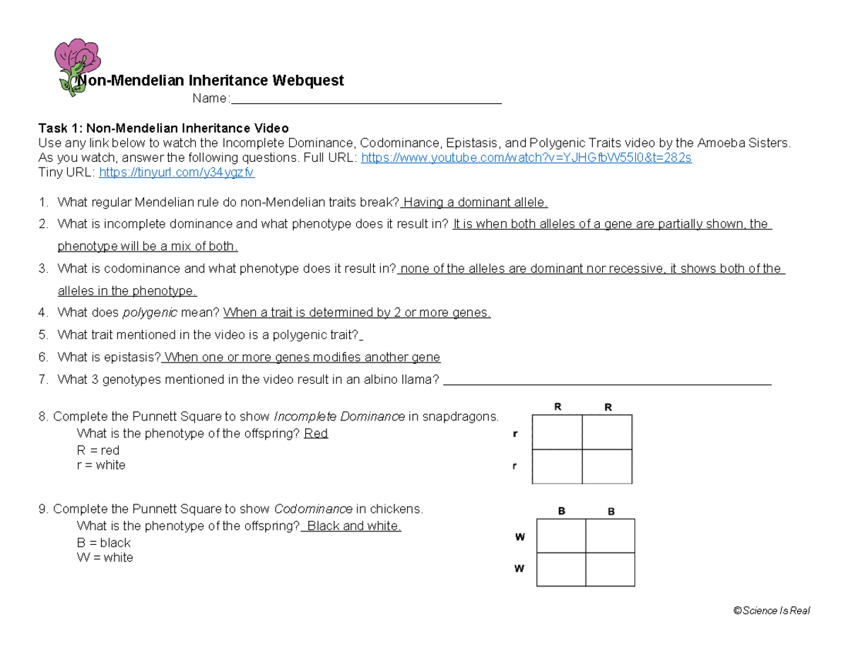 640993000 Handout Non Mendelian Inheritance Webquest - Non-Mendelian