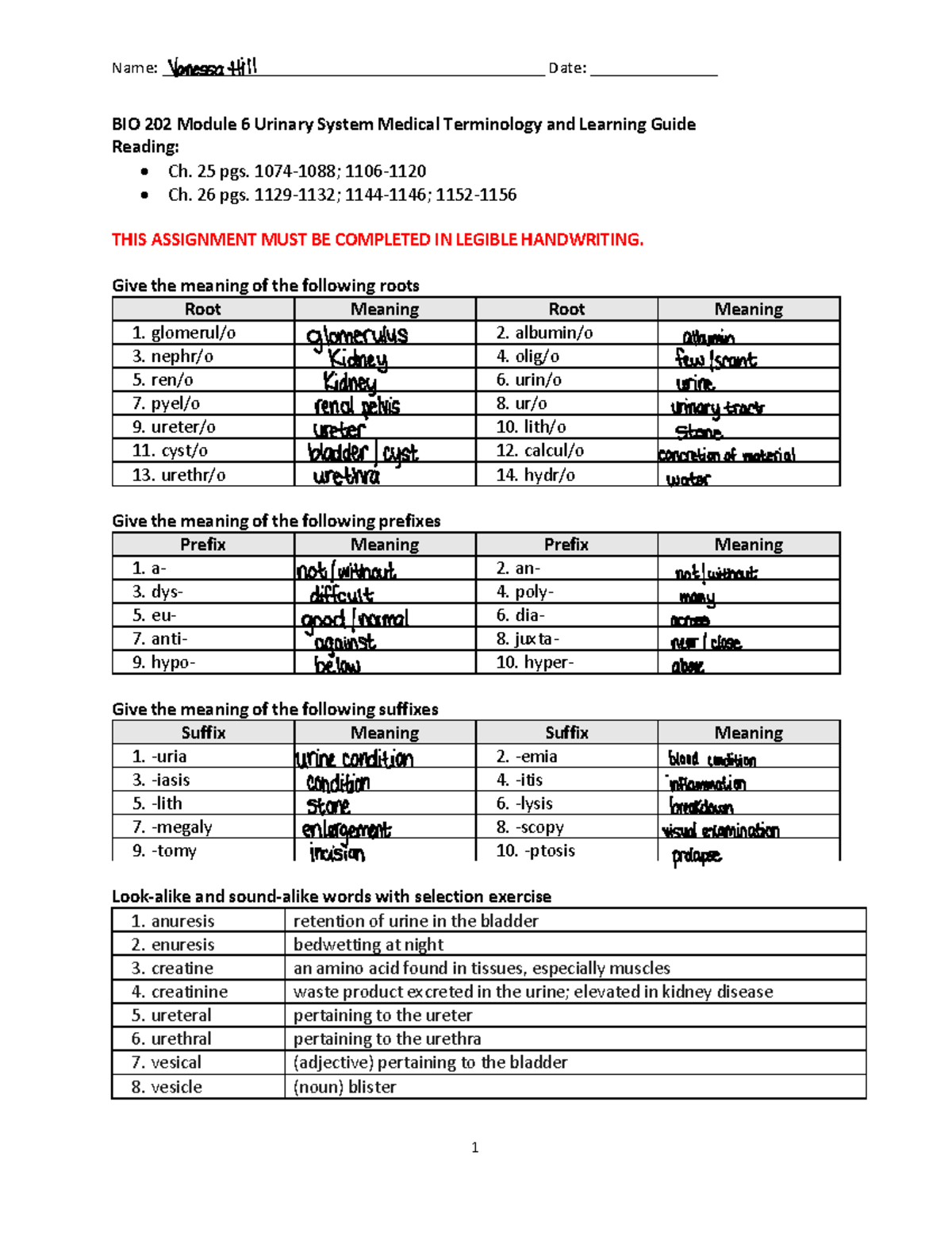 BIO+202+Module+6+Urinary+System+Learning+Guide+&+Terminology - Studocu