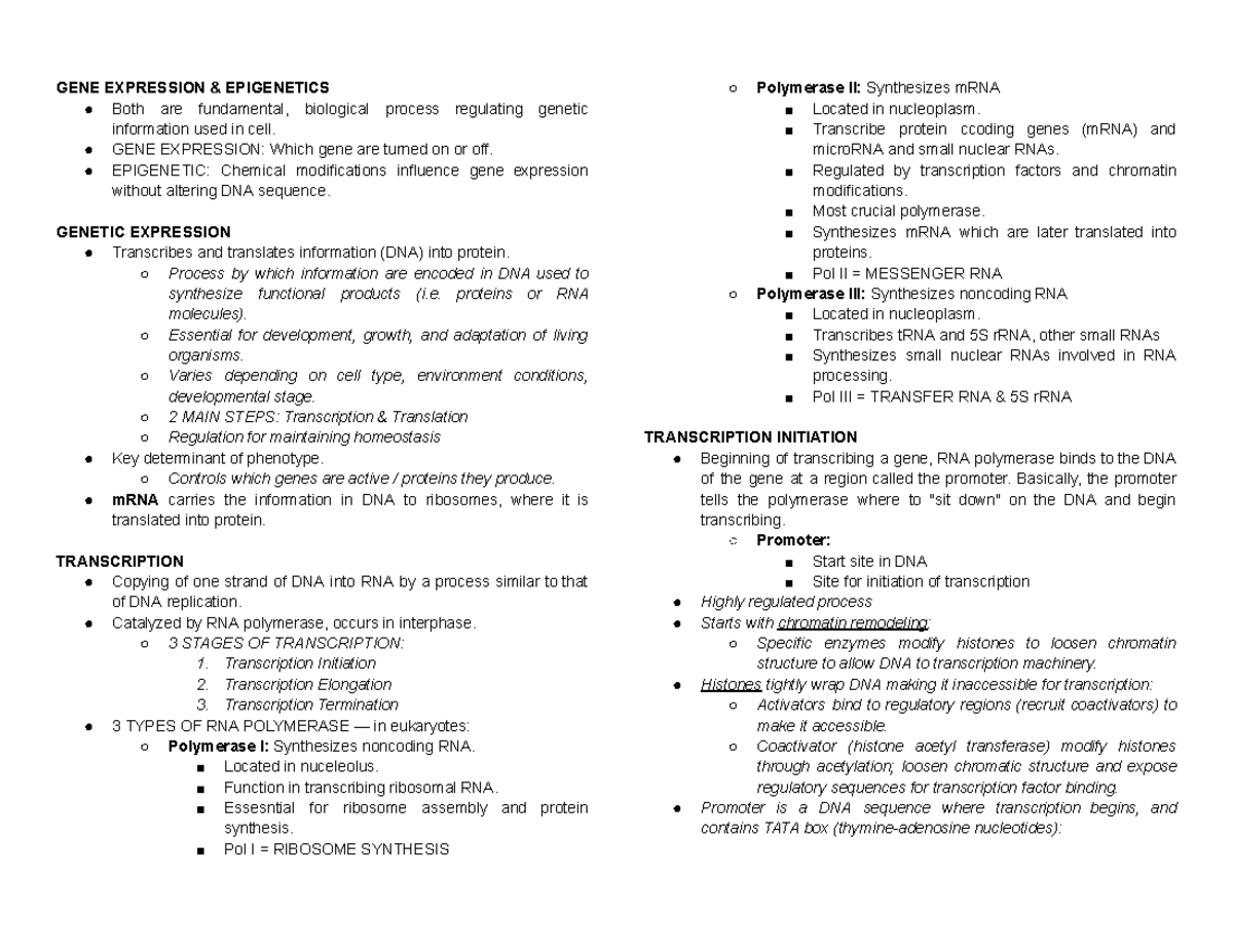 BSMT 3 Molecular Biology: Gene Expression - GENE EXPRESSION ...