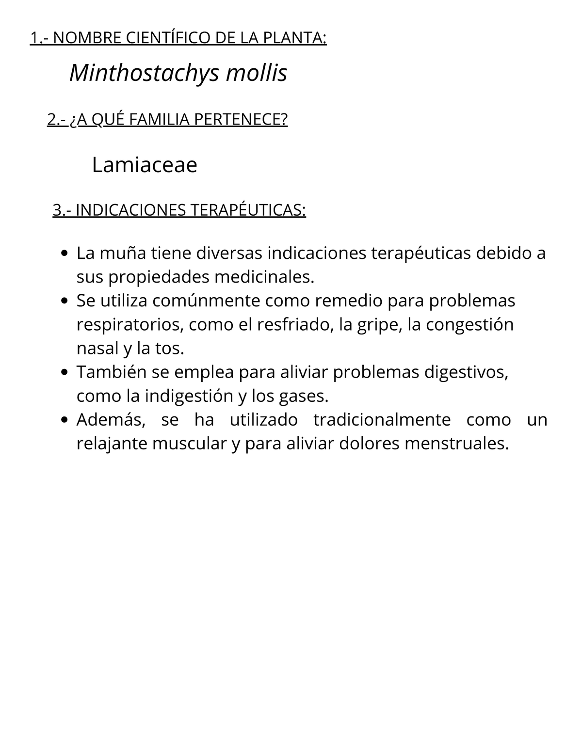 MUÑA - Propiedades y Preparación de Planta Medicinal (Minthostachys ...