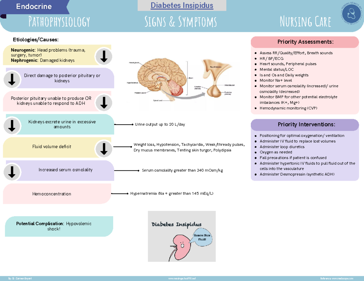 NURS 301 - Diabetes Insipidus Lecture Notes: Key Assessments ...