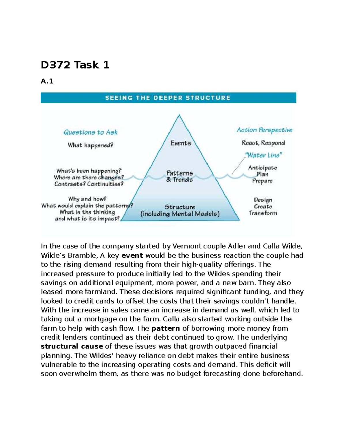 D372 Task 1: Financial Challenges of the Wilde's Business Growth - Studocu