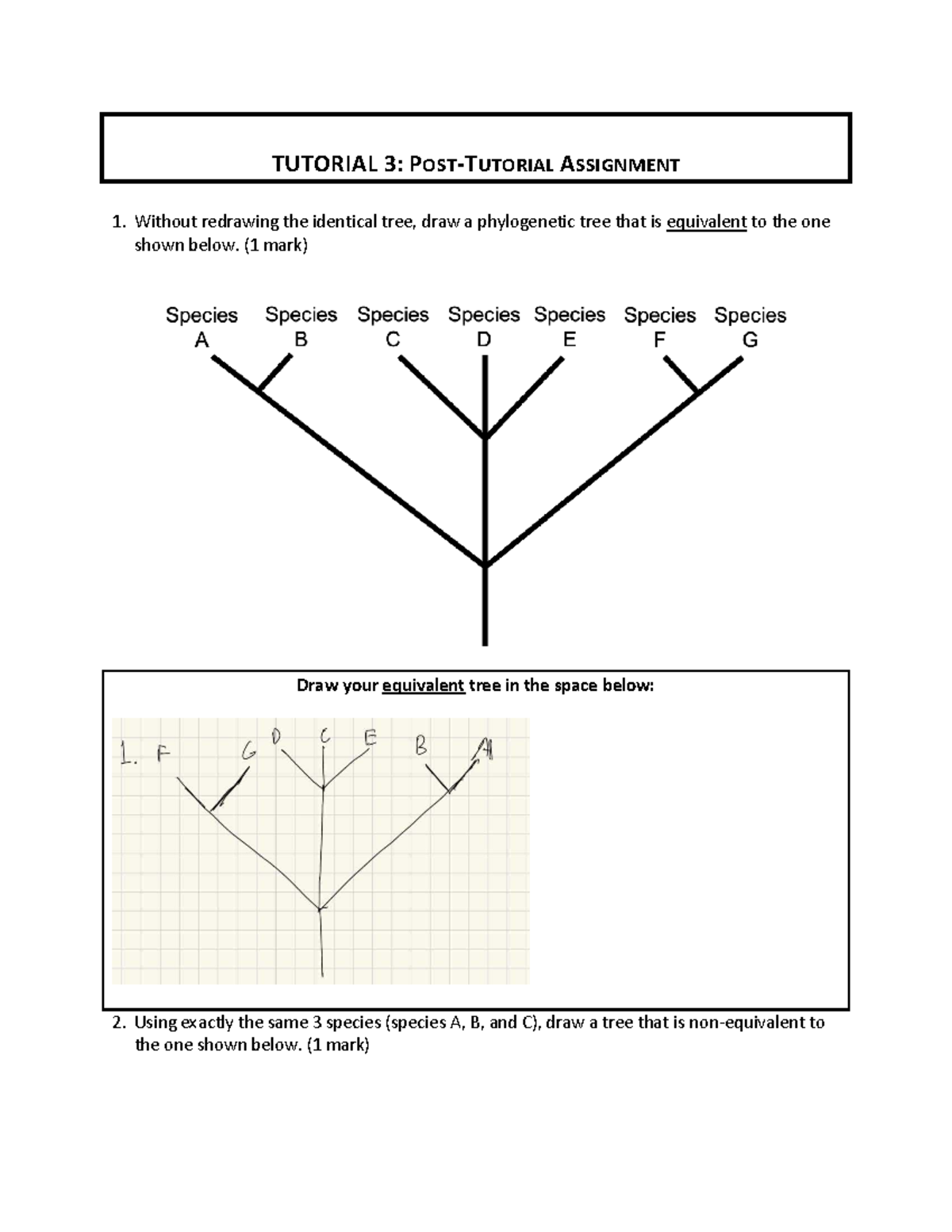 Post 3 biom03 - Post tutorial 3 assignment - phylogenetic trees ...