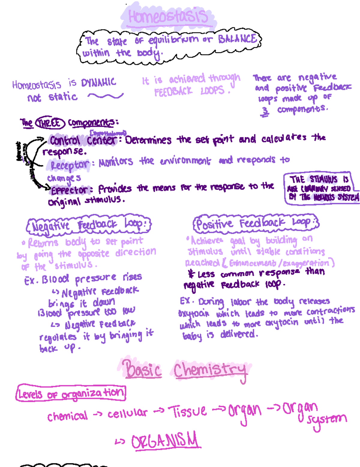 Document Overview and Analysis for Course Code XYZ123: Homeostasis and ...