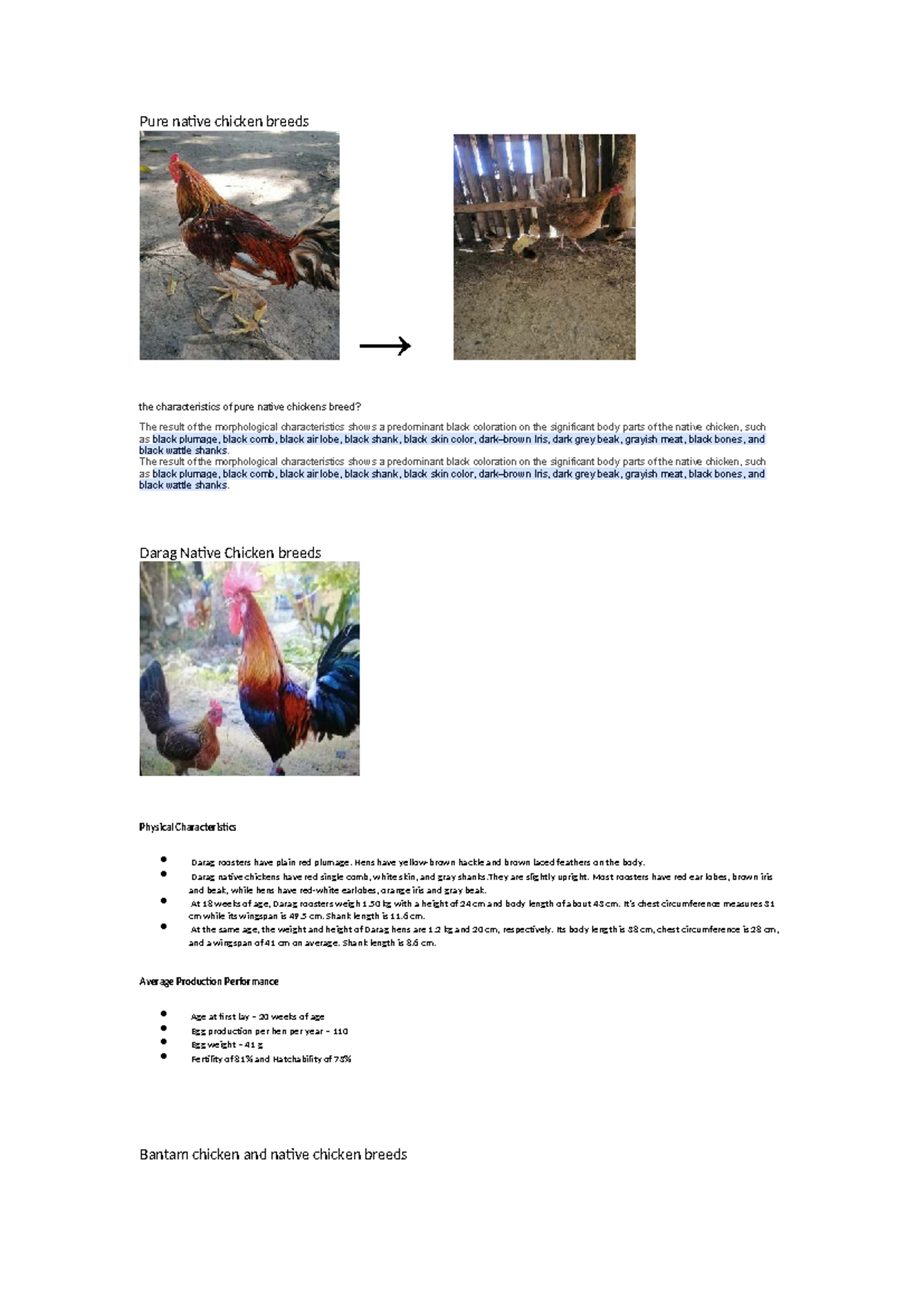 Characteristics of Pure Native Chicken Breeds: Morphological Insights ...