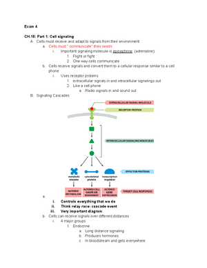 Biology Final Exam Review Exam Material Study Guide Thermodynamics Nd Law Of Thermodynamics