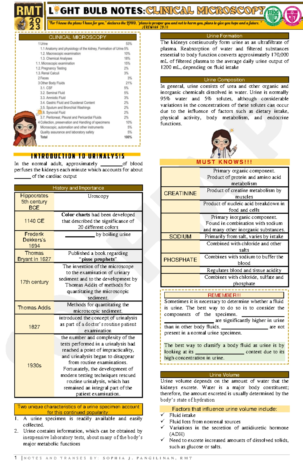 Liver Function Notes for CC2: Understanding Bilirubin and Jaundice ...