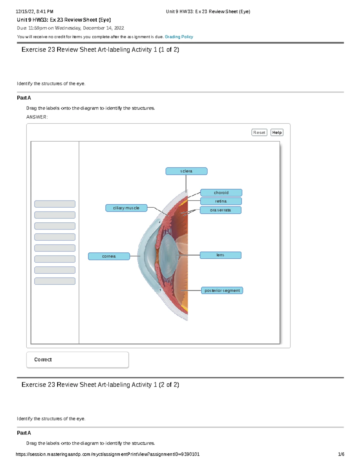 解剖学 1 Anatomy 1 Anatomy + Physiology 1 (LAB Chapter 1) - Summer session