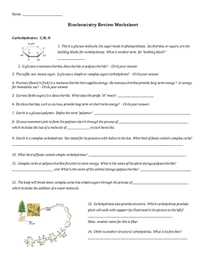 Biology 101 Final Exam Study Guide: Cell Cycle & Signal Transduction ...