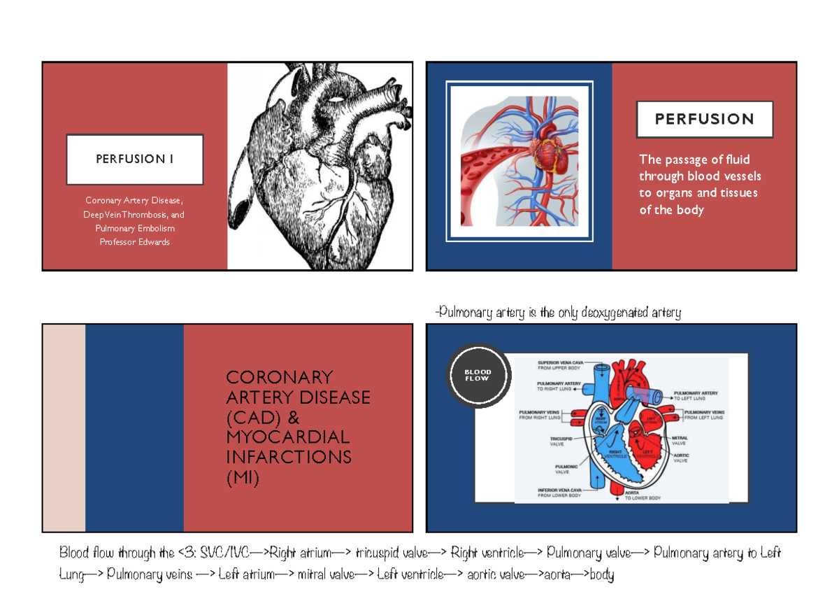 PERFUSION I Coronary Artery Disease & Myocardial Infarction Overview ...